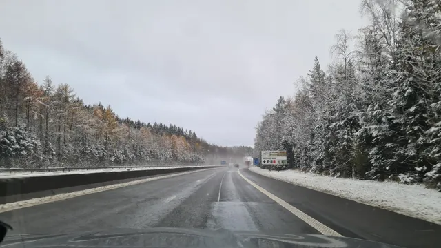 A wintery highway, slightly snow covered trees on either side, autumn leaves still showing through, a beautiful sight