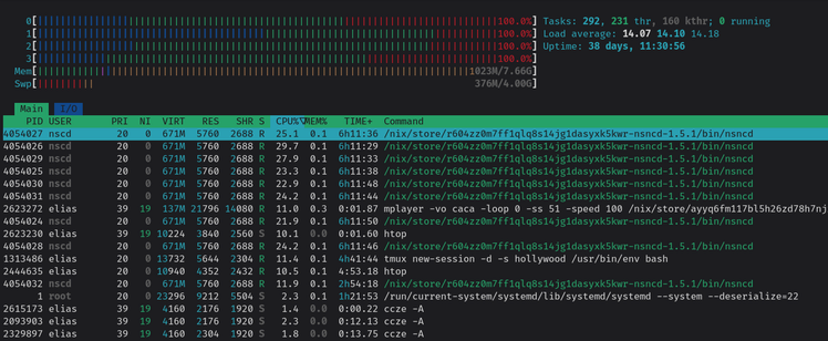 htop showing all cores at 100%. multiple nsncd processes using lots of CPU
