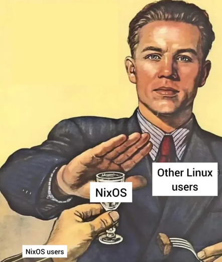 This meme uses the "No Thanks" Russian meme template, which features a drawing of a man in a suit holding his hand out in a "stop" gesture. In this version, he is labeled "Other Linux users." Another hand, coming from the bottom left, is holding out a glass labeled "NixOS," and this hand is labeled "NixOS users." In the bottom right, a fork is visible, also implicitly offered by the "NixOS users" to "Other Linux users."

The meme's humor comes from the implication that NixOS users are very enthusiastic about their operating system and try to convince "other Linux users" to adopt it, while "other Linux users" are depicted as resistant to the idea.