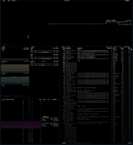 screenshot of btop of the new NixOS system serving user traffic