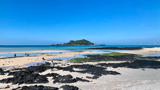A beach with an island in the background. 