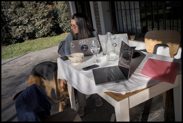 a table outside on a patio, the desk is full with laptops, one visibly with a bunch of GIS related stickers. behind that computer sits a person with a German Shepard-style dog next to them.