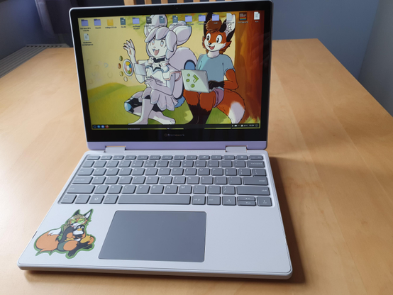 The laptop shown open and turned on, from the front, showing the screen, keyboard and touchpad. On the screen is NixOS running the KDE Plasma desktop. The desktop background is Alison D Kira's art of Kiki the Cyber Squirrel and Xenia the Linux fox, sitting together under a tree. On the bottom half of the laptop, to the left of the touchpad, is a sticker from Neotheta of Xenia cuddling a Tux plushie.